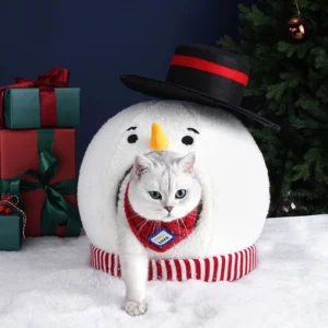 A cat and a Snowman Christmas house ornament