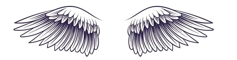 A pair of classic style angel wings.
