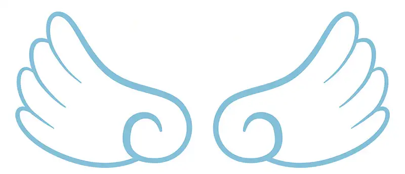 A kawaii style angel wings.