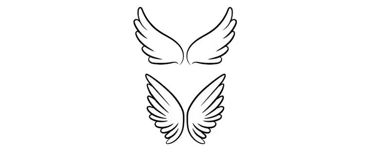 Two pairs of minimalist style spreading angel wings.