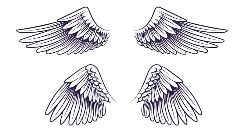 Two pairs of classic style sickle-shaped angel wings.