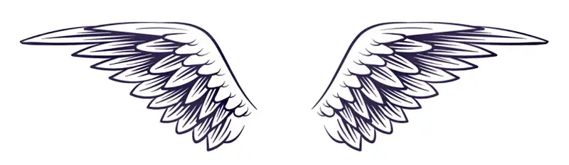 A pair of classic style spreading angel wings.