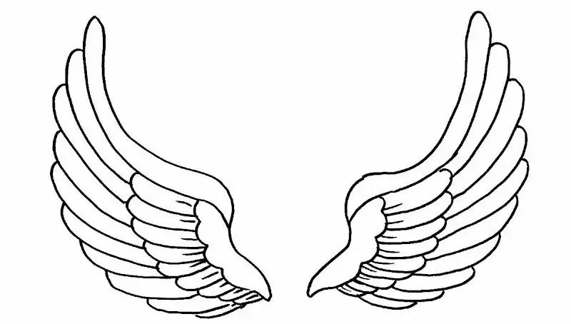A pair of angel wings has u-shaped feathers.