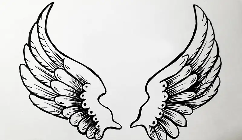 A pair of angel wings has v-shaped feathers.